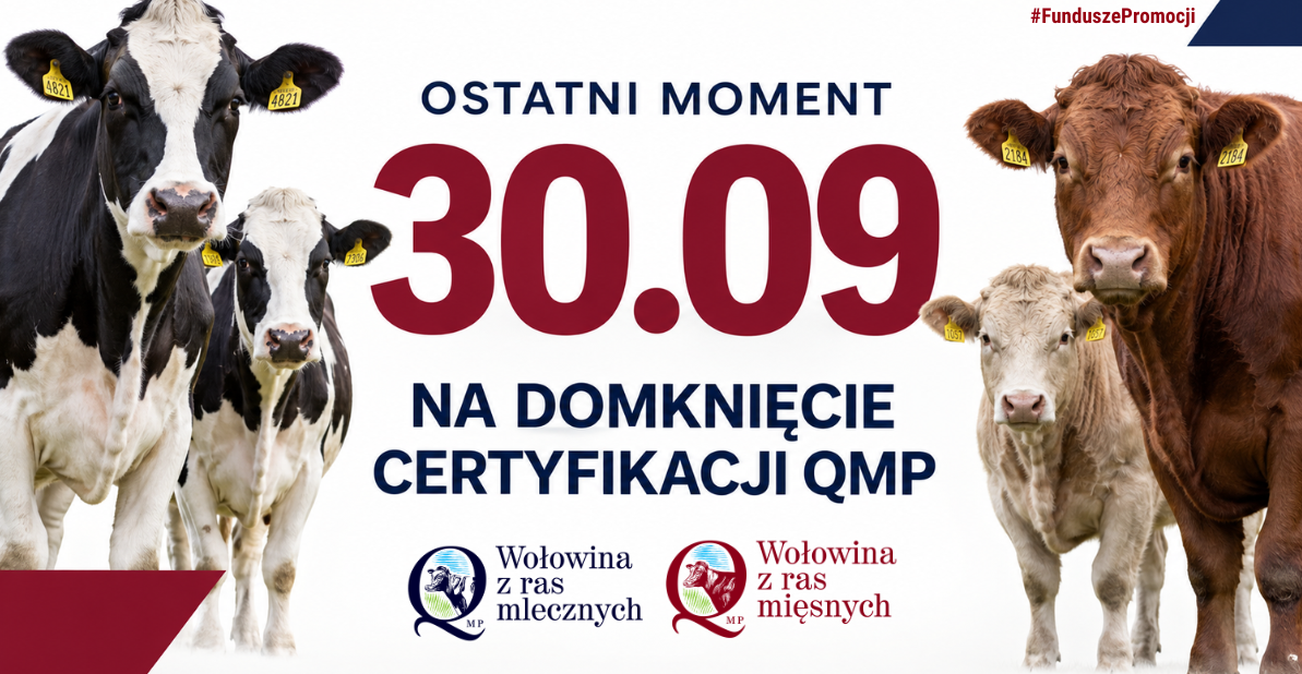 Certyfikat QMP — termin uzyskania upływa 30 września 2026 r.