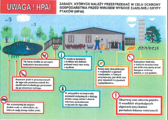 Uwaga! HPAI