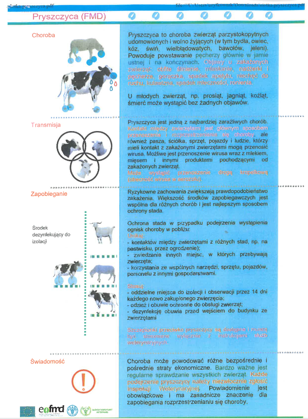 ULOTKA INFORMACYJNA - PRYSZCZYCA